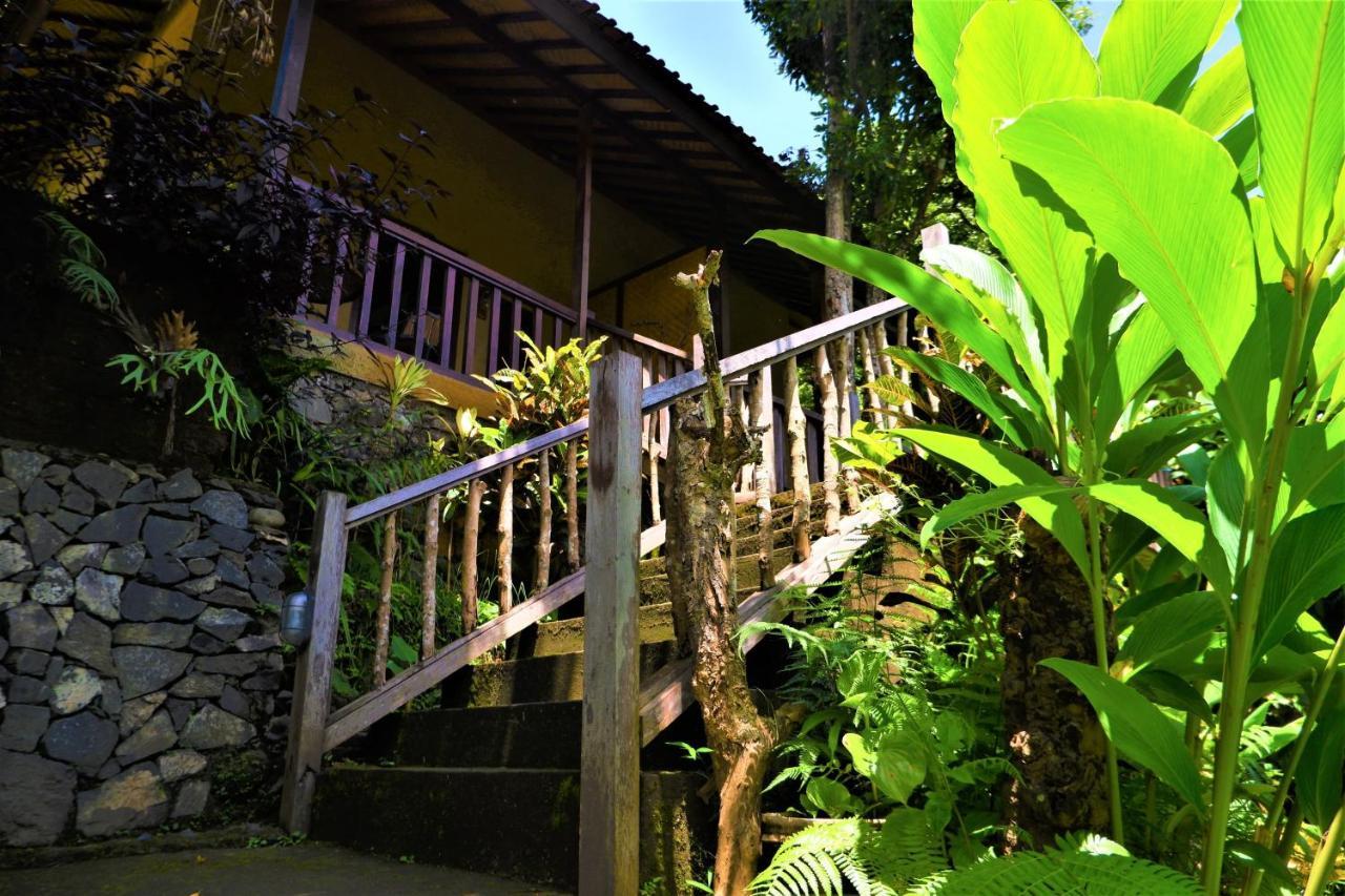 Swar Bali Lodge Munduk Eksteriør billede