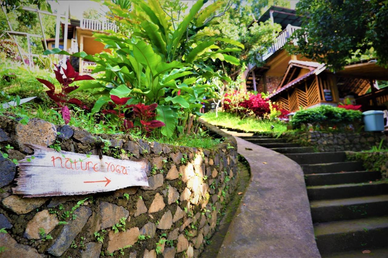Swar Bali Lodge Munduk Eksteriør billede